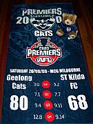 AFL-PREMIERSHIP-XL-BEACH-TOWEL-2009-NEW-GEELONG-CATS-82-CM-X-152-CM